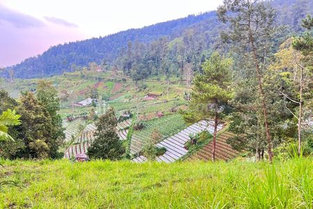 Dijual Tanah Strategis Dibangun Villa/Homestay Kawasan Wisata Ngargoyoso, Karanganyar