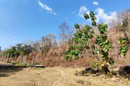 Dijual Tanah Sangat Luas di Temukus, Kabupaten Buleleng