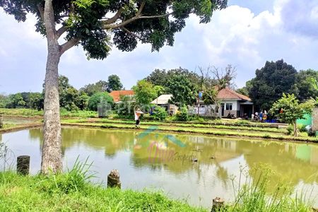 Dijual Murah Tanah Empang Pinggir Jalan Kampung Babakan Sabrang Ciseeng Bogor