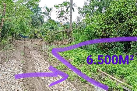 Jual Tanah Villa 6.500m² di Bandar Baru Sibolangit - View Gunung, Dekat Jalan Raya