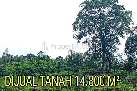 Dijual Lahan Glamping 1,4 Ha di Bandar Baru – Ketinggian 1.036 MDPL & View Kota Medan