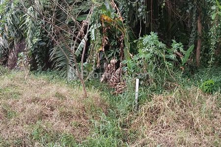 Dijual Tanah Purnama 2 Harga Murah, Lokasi Pinggir Jalan Purnama 2