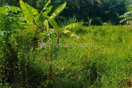 Dijual Tanah Pinggir Raya 1.000.000/m2 di Banyuurip, Purworejo