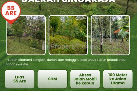 Dijual Tanah Kebun 55 Are Daerah Singaraja 25 Juta Per Are di Desa Kedis, Busungbiu, Buleleng, Bali