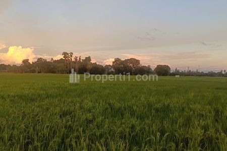 Dijual Tanah Basah Lengkap dengan Surat-suratnya di Desa Bontomanai, Gowa, Sulawesi Selatan