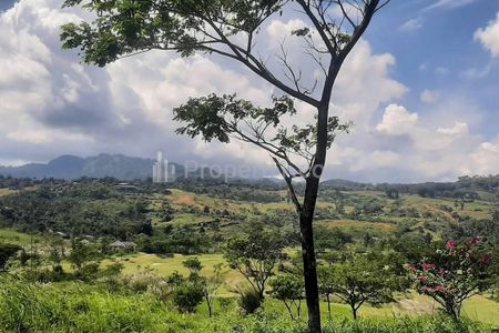 Tanah Dijual di Babakan Madang Bogor