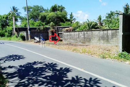 Tanah Dijual di Gianyar Bali Dekat Pantai Saba, Ubud Bali, The Amazing Taman Safari Bali
