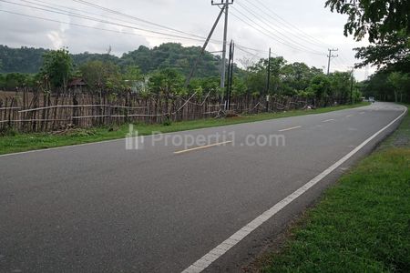 Dijual Tanah 1,2 Hektar di Labuan Mapin Alas Barat Sumbawa Nusa Tenggara Barat