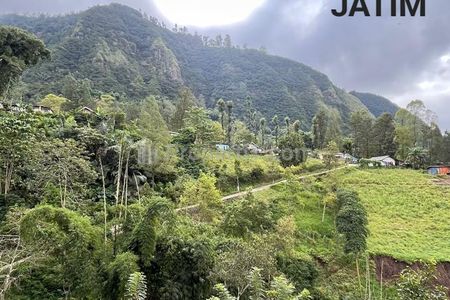 Dijual Tanah 2000 m2 di Sapikerep, Sukapura, Probolinggo, Jatim - Dekat Wisata Gunung Bromo - Surat SHM - Cocok Buat Cafe, Resto, Segala Usaha