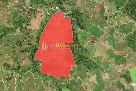 Jual Tanah Kosong Daerah Simalungun Jalan Saribu Jandi - Kec. Pamatang Silima Huta