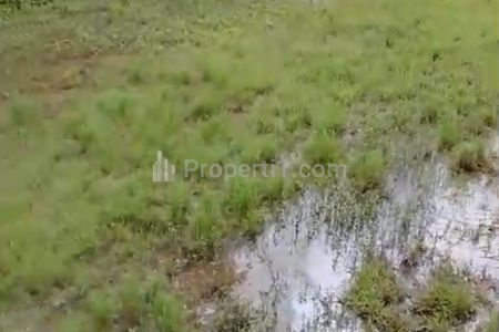 Jual Sawah Seluas 50 Bata (50 m2) Lokasi Ci Awi Tasikmalaya