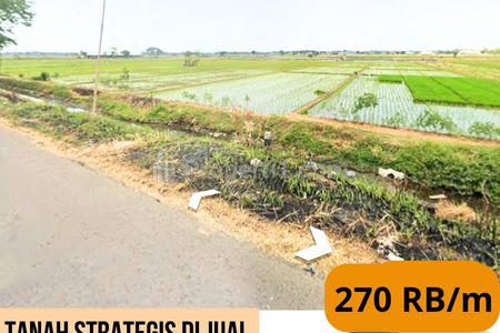 Tanah Dijual Lokasi Strategis di Dukuhwaru, Tegal, Jawa Tengah