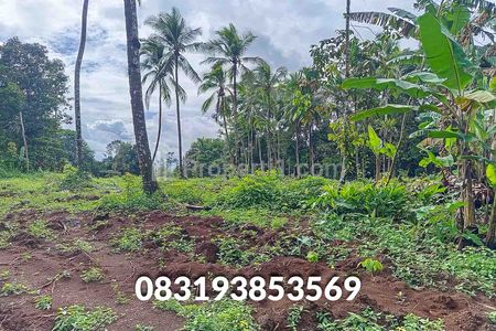 Jual Tanah Murah di Pandeglang Banten