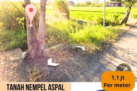Dijual Tanah 475 m2 di Desa Kemanggungan, Tarub, Tegal