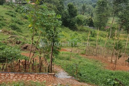 Dijual Tanah di Cigudeg Bogor - Luas 12.000 m2 Bonus Rumah (Tanpa Perantara)