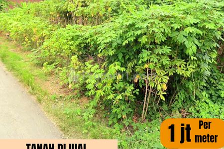 Dijual Tanah 700 m2 Depan Jalan Lodadi, Suradadi, Tegal