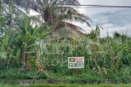 Sewa Tanah Harga Murah Cocok Bangun Usaha Cafe Resto Carwash Showroom di Jalan Surya, Pontianak