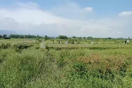 Jual Tanah Luas di Nol Jalan Raya Kembang Ringgit Mojokerto