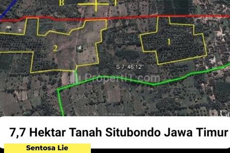 Jual Tanah Situbondo - Bondowoso Jawa Timur - Lokasi Jalan Kalibagor - SHM - Luas 7.7 Hektar 