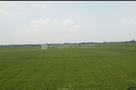 Jual Lahan Sawah Produktif di Majalengka Jawa Barat 3 Kali Panen