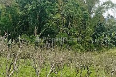 Dijual Tanah Lokasi Junggo Bumiaji Batu 2,18 Milyar