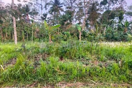 Dijual Cepat Tanah Wagir Malang 30 Juta