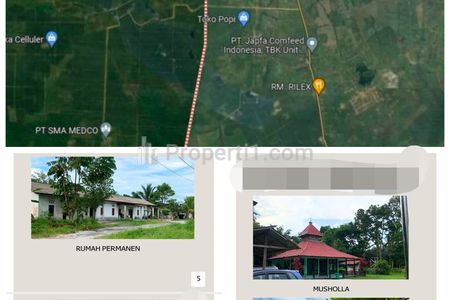 Dijual Lahan dan Pabrik Kebun Sawit Luas 95,3 Hektar di Kalimantan Tengah, Kota Kotawaringi Barat