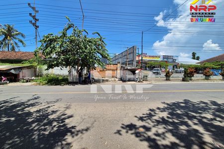 Jual Gudang Kalipuro Banyuwangi Dekat Pelabuhan Ketapang Luas 3.800 m²