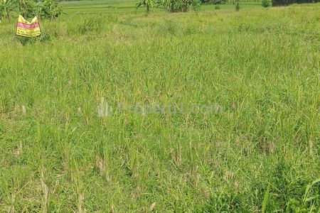 Dijual Tanah Strategis Pinggir Jalan Akses Mobil Lokasi Parakanyasag Indihiang Kota Tasikmalaya