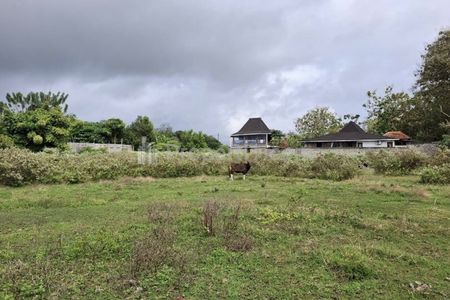 Jual Tanah 5 Unit SHM di Jalan Asih Devi Kuta Badung Bali