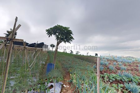 Dijual Lelang Tanah 3.932 m² di Cipendawa – Cocok Villa & Investasi Nego Deal!!