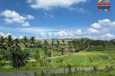 Dijual Tanah Premium View Terasering di Glagah Banyuwangi Cocok Villa & Investasi