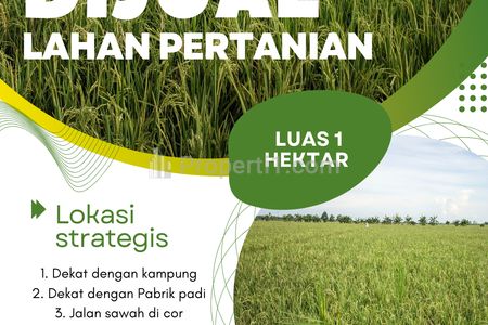 SAWAH DIJUAL RAWAJITU SELATAN.