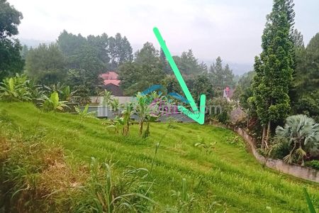 Dijual Tanah Sawah Luas di Cilember Cisarua Kabupaten Bogor