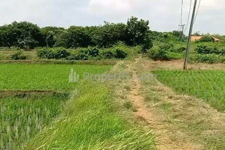 Jual Tanah 2,5 Hektar SHM Muka 200 Meter untuk Industri Manufaktur Pergudangan Bersebelahan dengan Kawasan Industri di Kp. Jaringao Pabuaran Subang