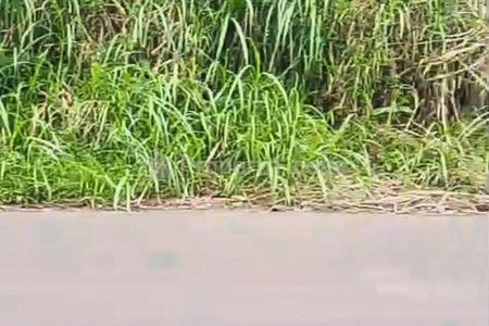 Dijual Tanah Lawang Malang 36 Milyar