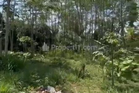 Dijual Tanah Tanaman Senggon Jambon Pakis Malang 500 Juta