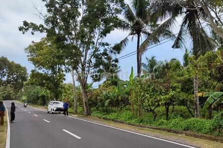 Jual Tanah Kebun Sangat Luas di Daerah Antosari Tabanan Bali