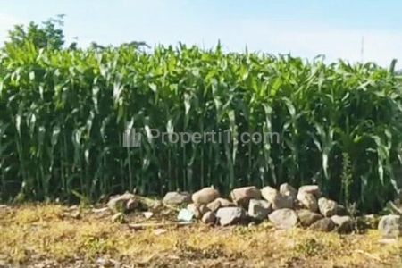 Dijual Tanah Lahan Krobyokan Wagir Malang 8,88 Milyar