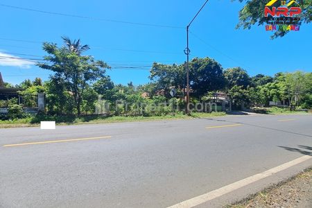 Dijual Tanah Komersial Pinggir Jalan Provinsi Wongsorejo Banyuwangi 1.120 m²