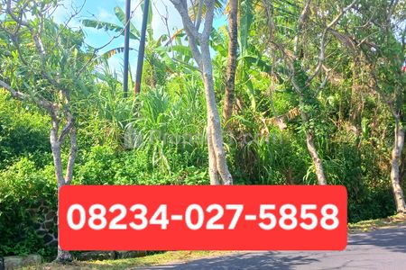 Dikontrakkan Tanah 6 Are di Penatih Denpasar Dekat Jl Cekomaria, Padma, Jagapati, Bali