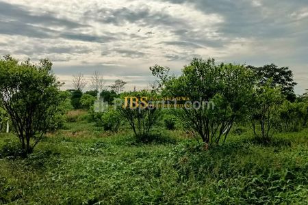 Dijual Tanah Kosong di Desa Guru Benua Kec. Munte, Karo