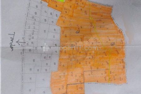Dijual Tanah Pucang Songo Pakis Malang 41,25 Milyar