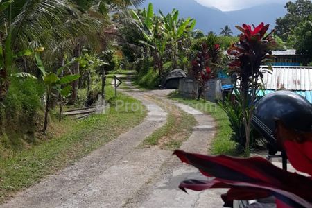 Dijual Tanah View Sawah dan Gunung Dekat Jatiluwih Rice Terrace Penebal Tabanan Bali