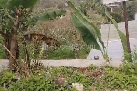 Dijual Cepat Tanah Nol Jalan Poros Provinsi Junggo Bumiaji Batu 1,5 Juta