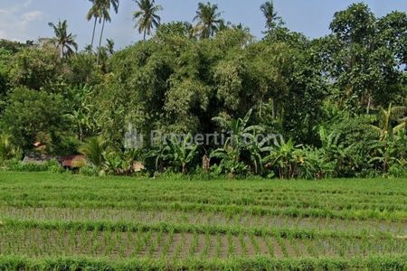 Dijual Tanah Zona Pariwisata Dekat Pantai Mejan & Balian Selemadeg Barat Tabanan Bali
