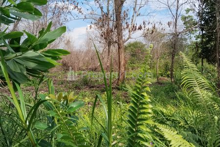 Dijual Tanah Inves Harga Murah di Parit Demang Dalam Pontianak Selatan