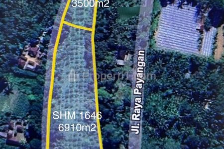 Dijual Kebun Jeruk di Raya Payangan, Gianyar, Bali