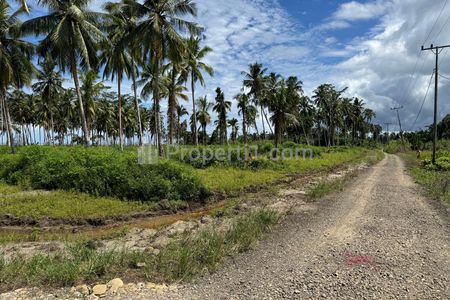 Jual Tanah di Kota Gunung Sitoli Jalan Negara Desa Hilimbawadesolo  (+/- 10 km dari Bandara)