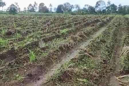 Dijual Tanah Lahan di Tumpang Malang